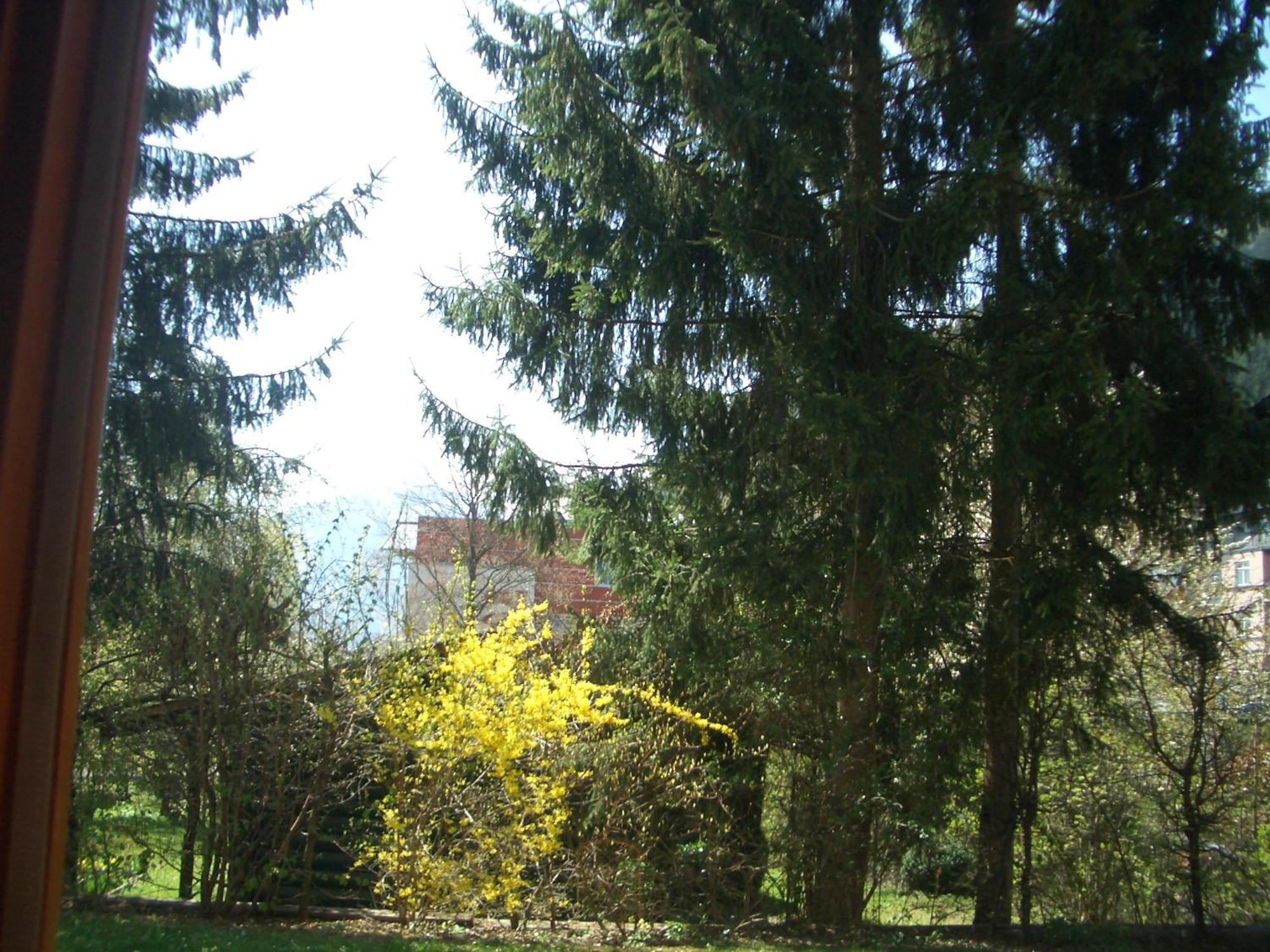 Gartenapartment Zell am See Eksteriør bilde