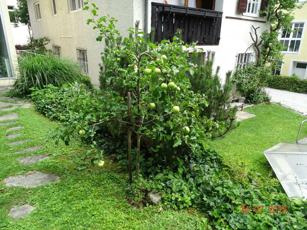 Gartenapartment Zell am See Eksteriør bilde
